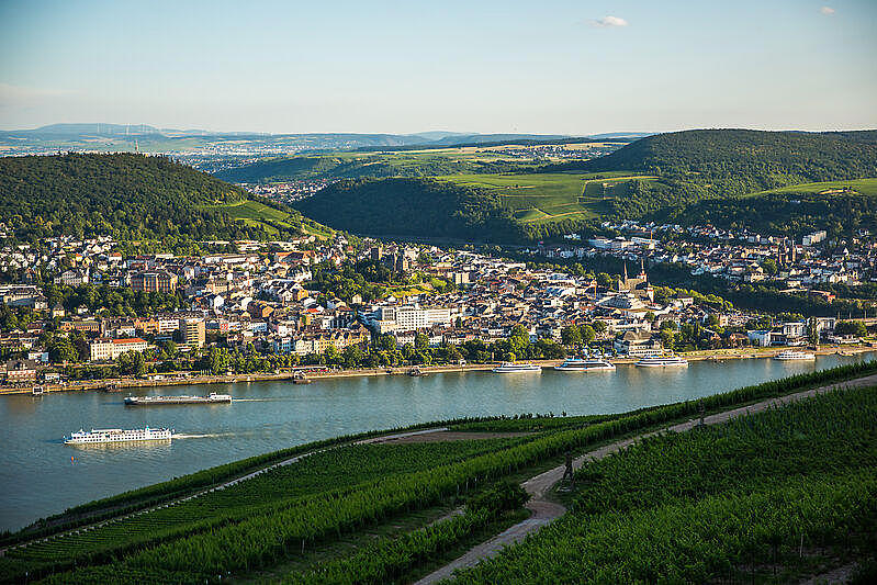 Von einem Flussufer blickt man auf die gegenüberliegende Seite und sieht eine kleine Stadt in den Hügeln.  Niederländisch: