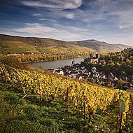 Blick auf die Weinberge und die Heimburg in Niederheimbach