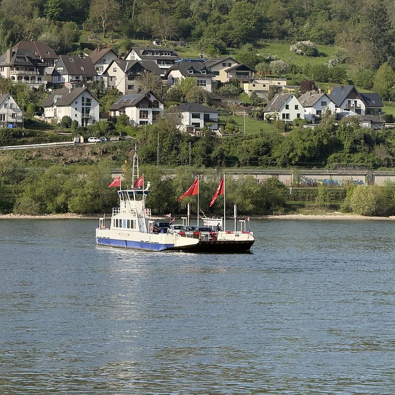 Die Fähre Michael setzt auf dem Rhein auf die andere Seite. Im Hintergrund ist das andere Ufer sichtbar. 